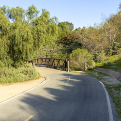 Quail Hill